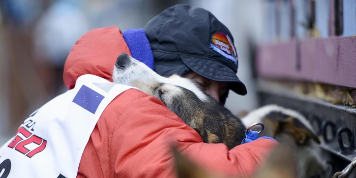 Die Hunde und Musher bilden eine verschworene Einheit – eine überlebenswichtige Symbiose für das Iditarod