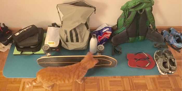 Le tapis doit bien être quelque part...