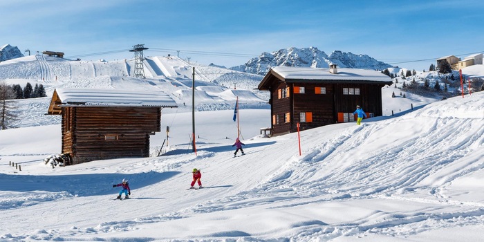 Copyright e-domizil AG/Chalet Wilhelmina (Object no. 793971)