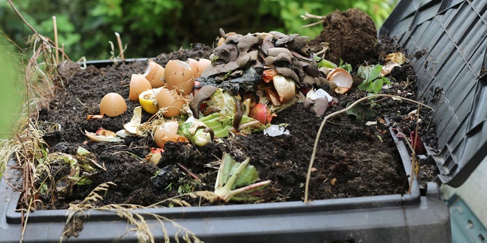 Ist alles, was aus Küche und Garten kommt, kompostierbar?