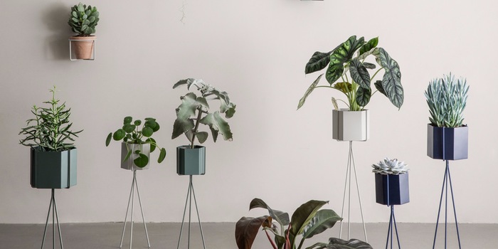 Ein Hoch auf Zimmerpflanzen: Blumentöpfe von ferm LIVING.