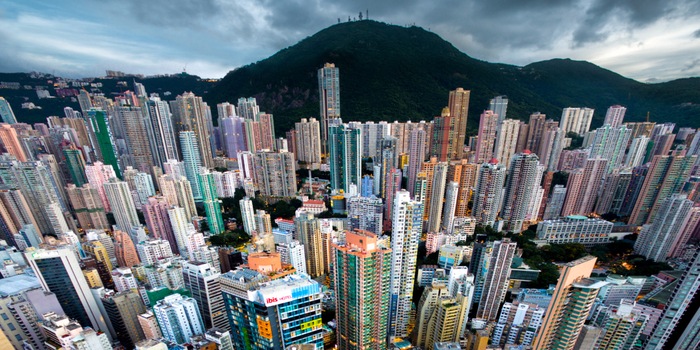 Urban Jungle #08