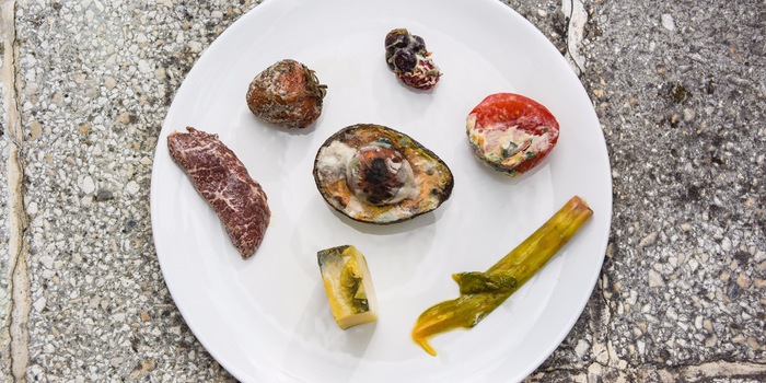 Ecco cosa succede agli alimenti dopo quattro settimane se non vengono conservati sottovuoto.