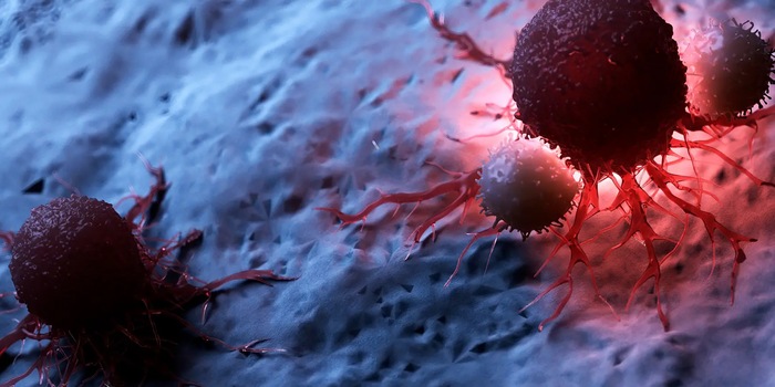 © Sebastian Kaulitzki / Science Photo Library / picture alliance (detail) Two leukocytes, which are part of the immune system and are involved in the defence against pathogens, attack a cancer cell (illustration on the right).
