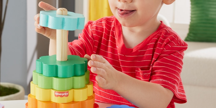 Fisher Price Fisher Price