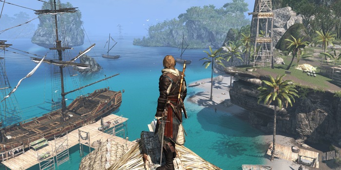"Assassin's Creed : Black Flag"