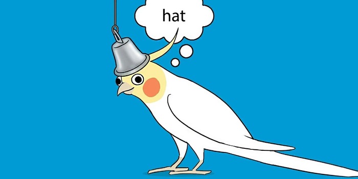 Chicken Thoughts