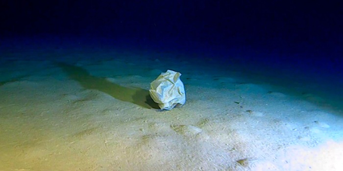 Caladan Oceanic; Pressebild zu: Hanke, G. et al.: Marine litter in the deepest site of the Mediterranean Sea. Marine Pollution Bulletin 213, 2025, fig. 13