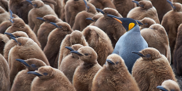 Shutterstock / Jeremy Richards