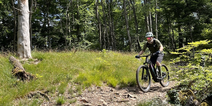 Ilona Jeckelmann / Bosch eBike Systems