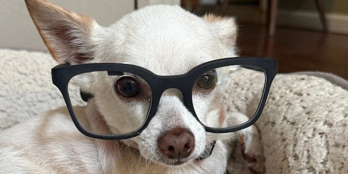 Brilliant Labs