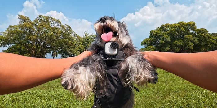 Insta360