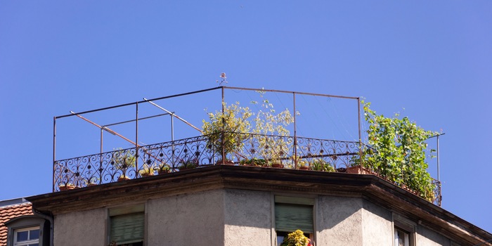 Die Ausgangslage: Deine entrümpelte Dachterrasse.